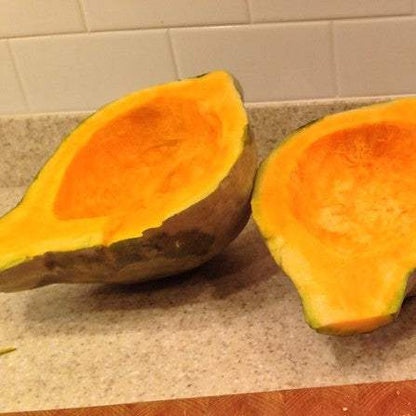 Blue Hubbard Squash cut in half showcasing orange flesh.