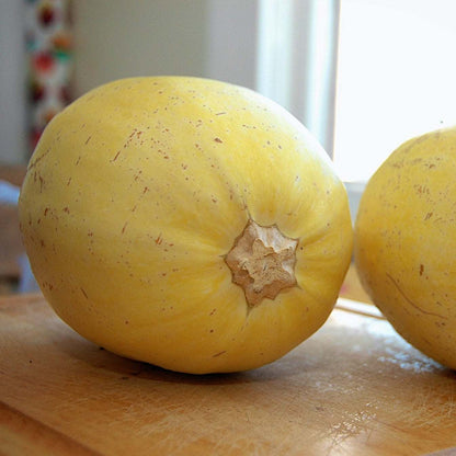 Spaghetti squash with vibrant yellow skin on a wooden surface.