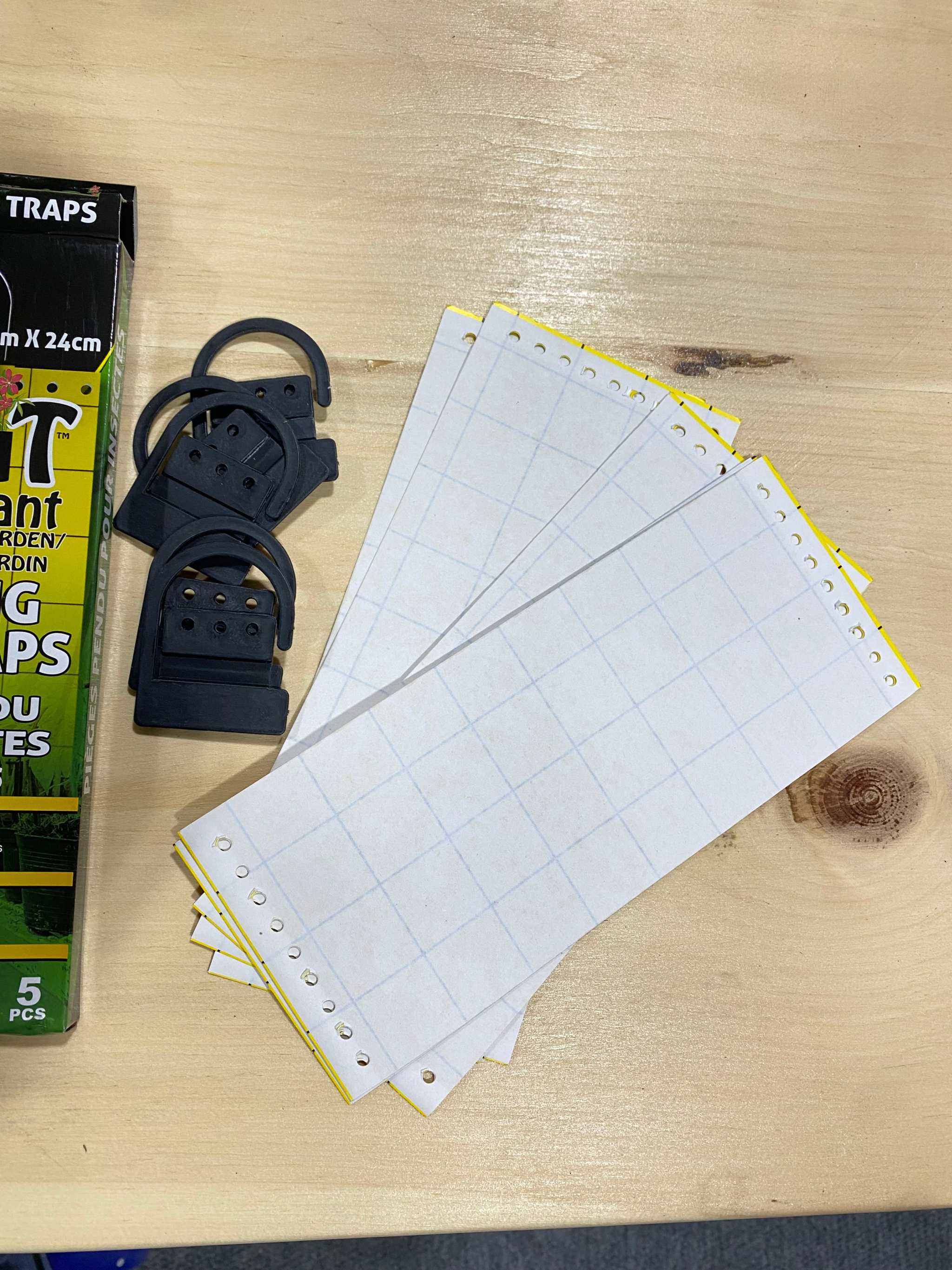 Yellow Insect Strip Traps - Natural Pest Control Solution – Matches Seeds