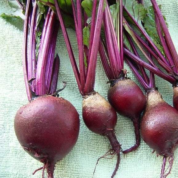 Red Ace beets with bright red-veined green tops laid out on a surface.