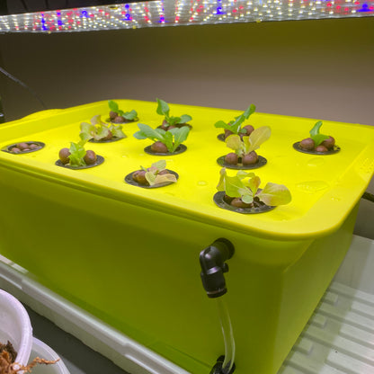 Hydroponic Growing Kit 12 Plant in use with leafy greens under LED lights.